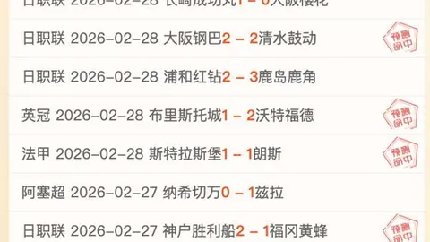 巴西男足国家队主帅儒尼奥尔被剥夺职务