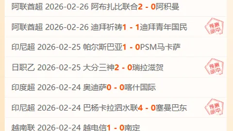 罗塞尼尔解析：恩佐与约恩森冲突已解决